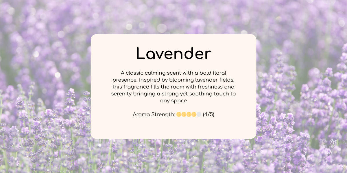 Ladang bunga lavender bermekaran di bawah cahaya alami, mencerminkan ketenangan dan kesegaran aroma lilin