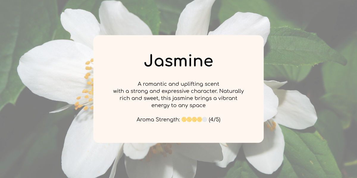 Bunga melati putih yang sedang mekar, mencerminkan aroma romantis dan ekspresif dari lilin melati